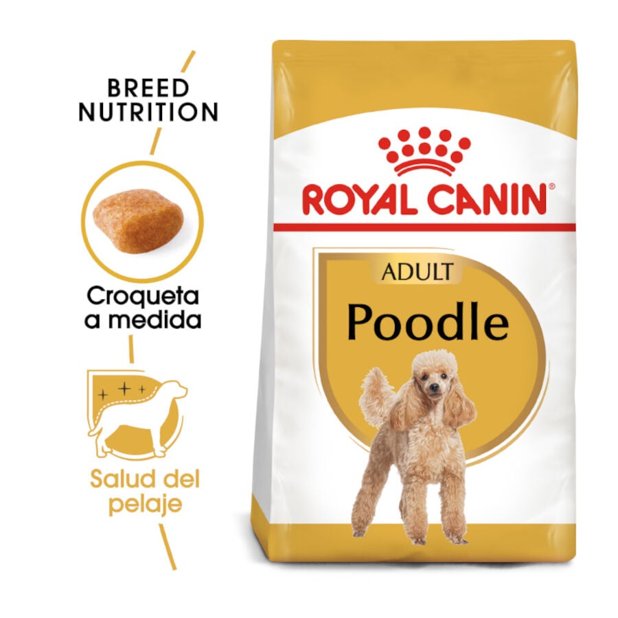 7.5 kg Royal Canin Adult Poodle pienso para perros, , large indicador imagen numero 2